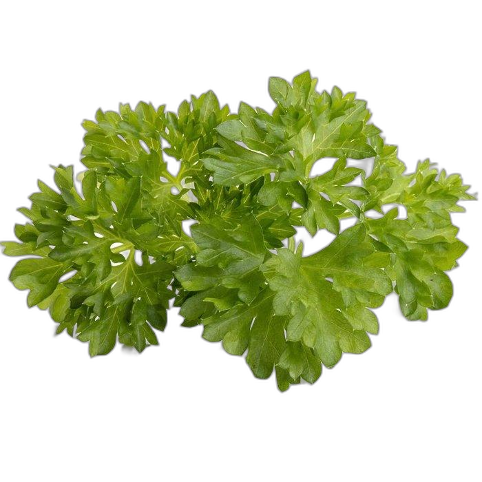 Click And Grow Plant Pods, 3-Pack, SGR13X3 – Parsley