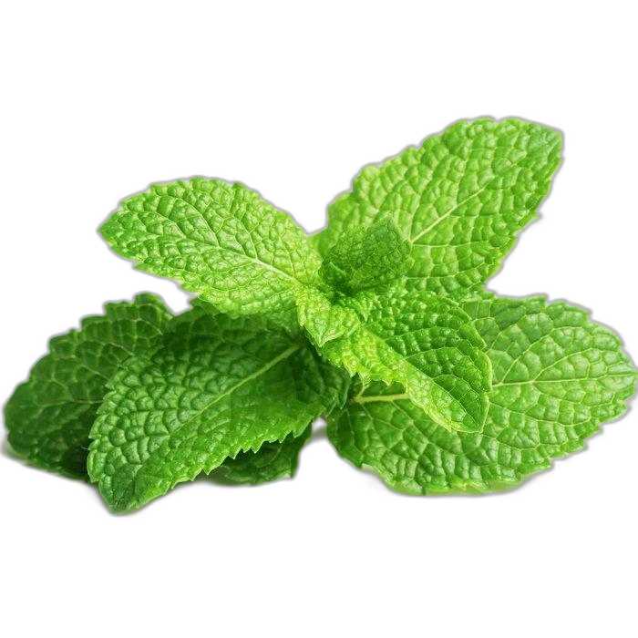 Click And Grow Plant Pods, 3-Pack, SGR22X3 – Peppermint