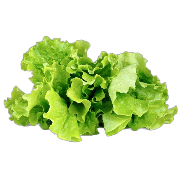 Click And Grow Plant Pods, 3-Pack, SGR32X3 – Green Lettuce