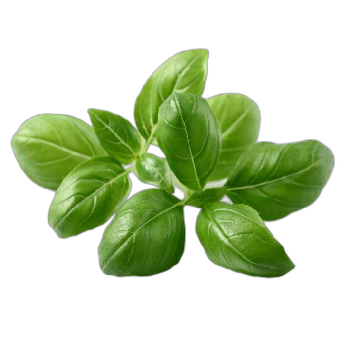 Click And Grow Plant Pods, 3-Pack, SGR3X3 – Basil