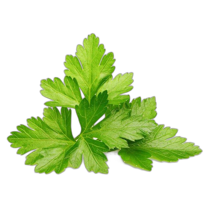 Click And Grow Plant Pods, 3-Pack, SGR45X3 – Coriander