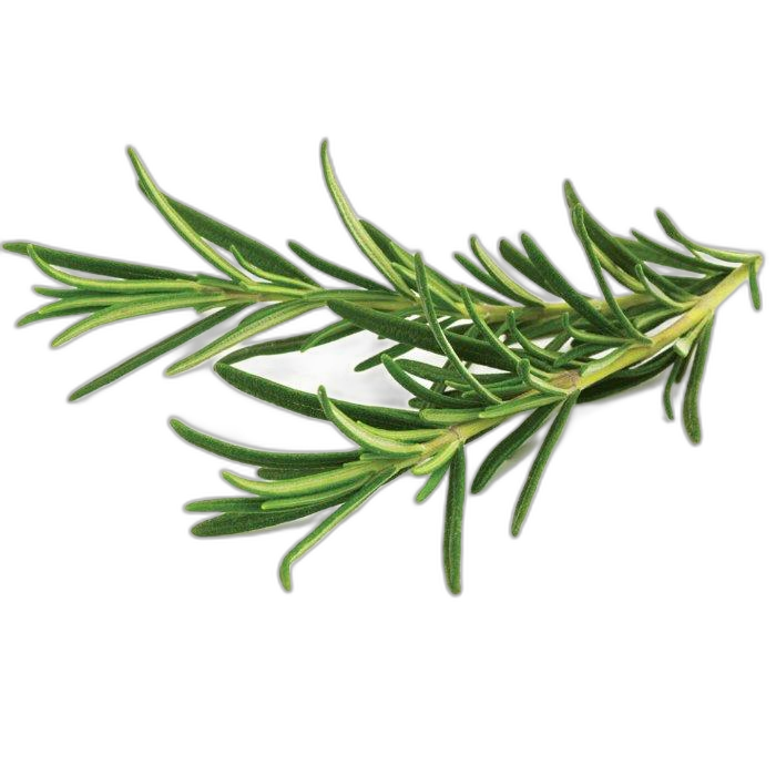 Click And Grow Plant Pods, 3-Pack, SGR51X3 – Rosemary