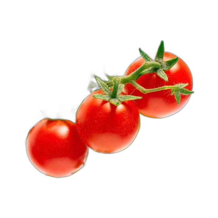 Click And Grow Plant Pods, 3-Pack, SGR5X3 – Mini Tomato