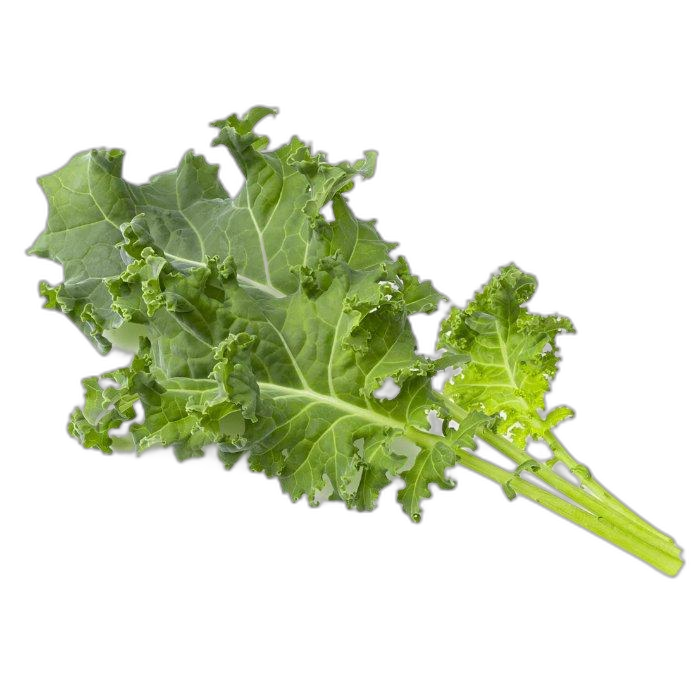 Click And Grow Plant Pods, 3-Pack, SGR90X3 – Green Kale