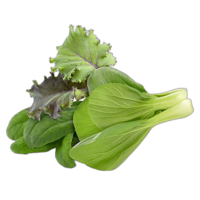 Click And Grow Plant Pods, 9-Pack, PPMACX9 – Asian Cuisine Mix