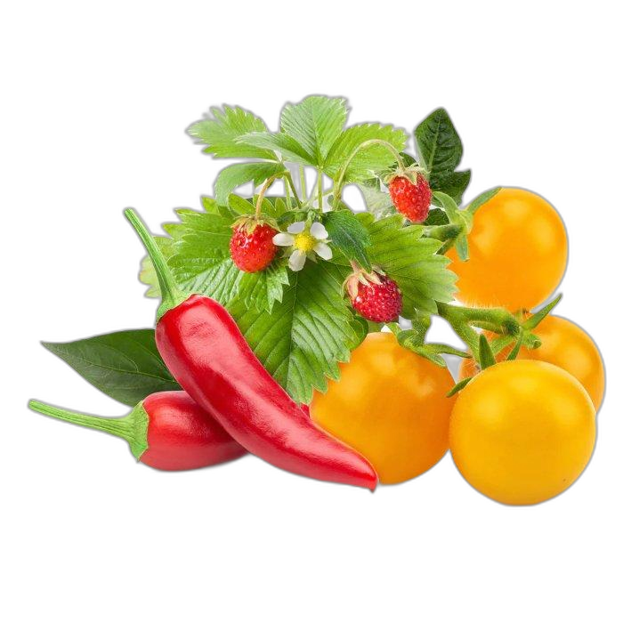Click And Grow Plant Pods, 9-Pack, PPMFVX9 – Fruit & Veggie Mix