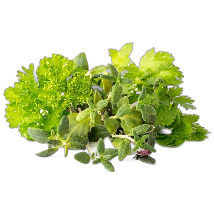 Click And Grow Plant Pods, 9-Pack, PPMSSX9 – Steak Seasoning Mix