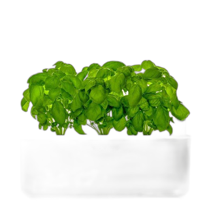 Click And Grow The Smart Garden 3, SGS7UNI