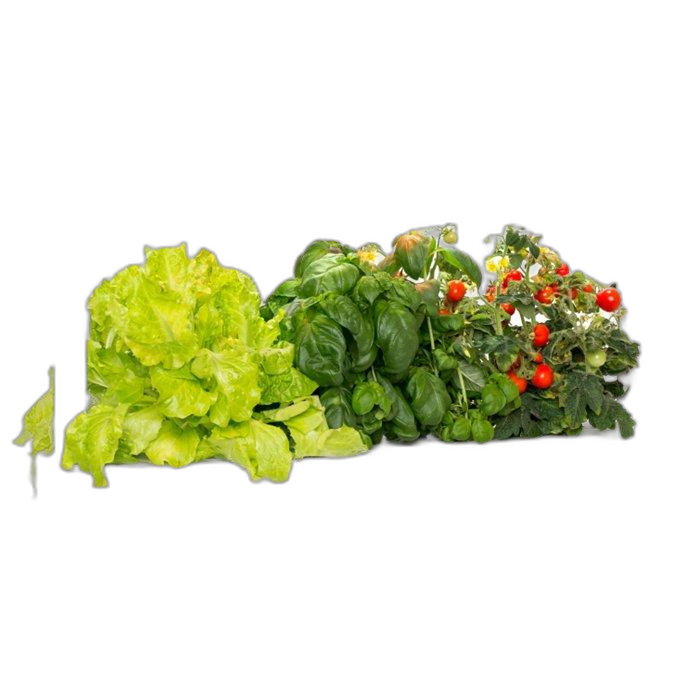 Click And Grow The Smart Garden 9 Pro, SG9S1UNI-BT