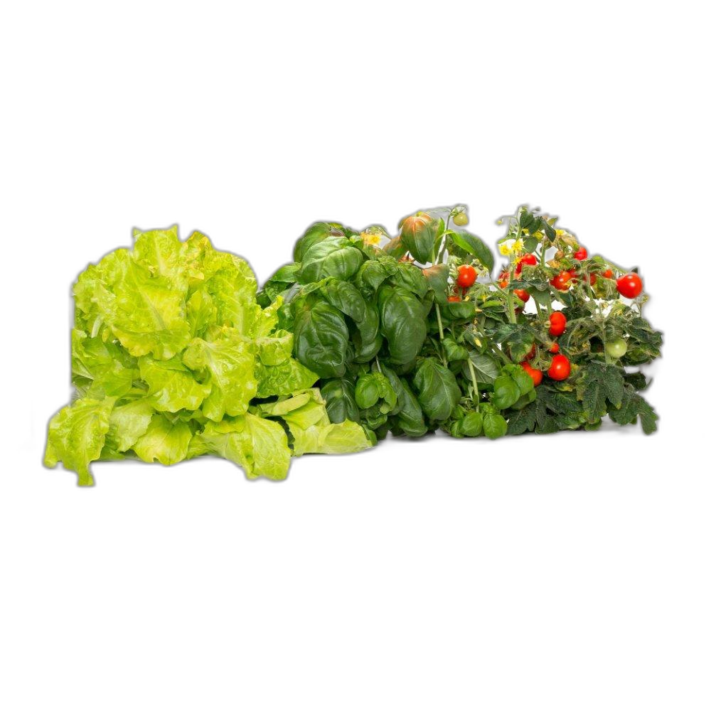 Click And Grow The Smart Garden 9, SG9S1INT