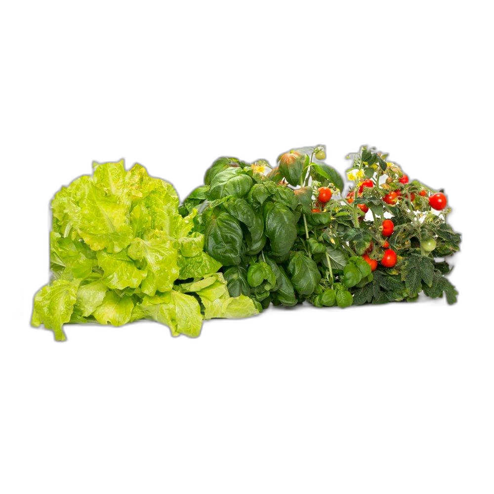 Click And Grow The Smart Garden 9, SG9S7INT