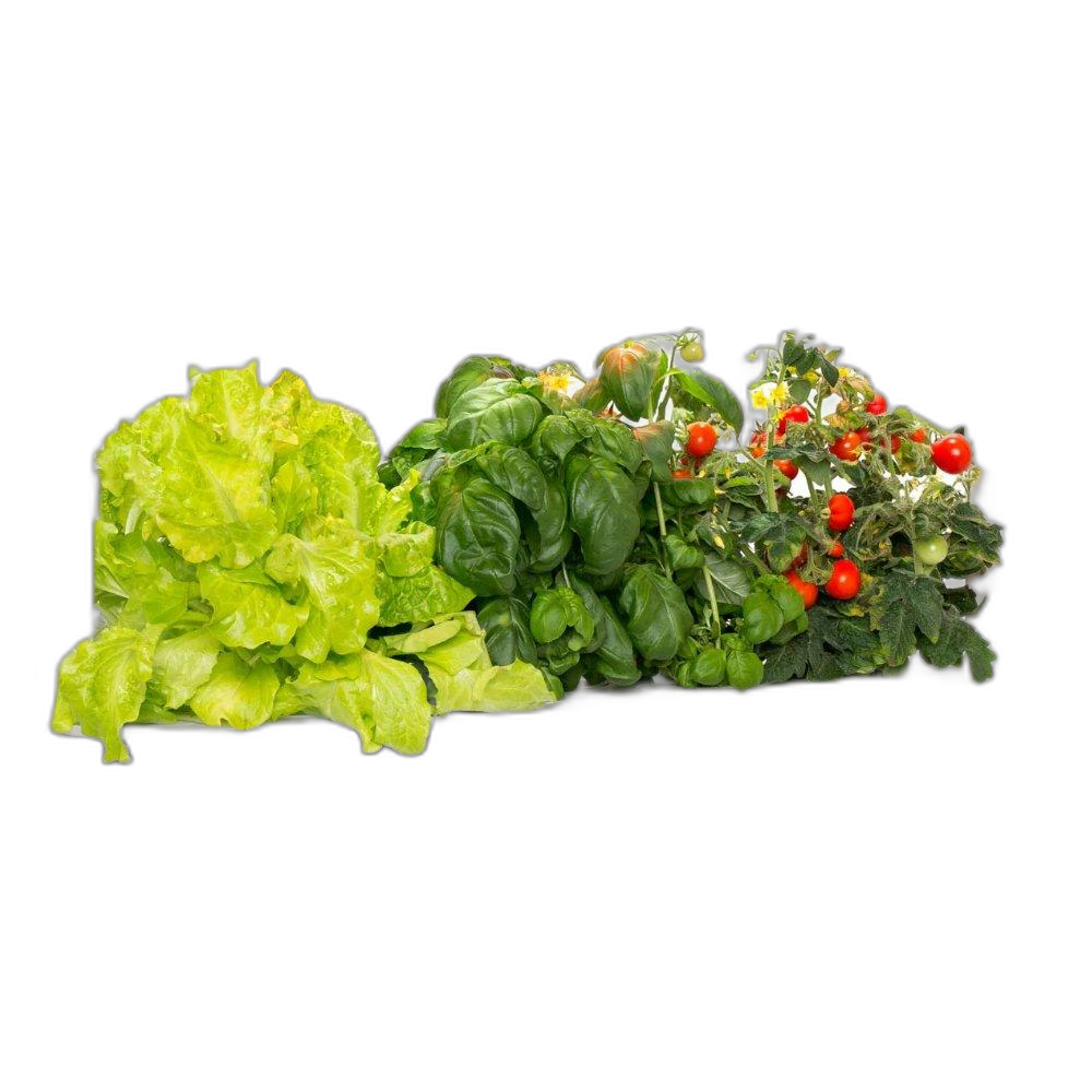 Click And Grow The Smart Garden 9, SG9S8INT