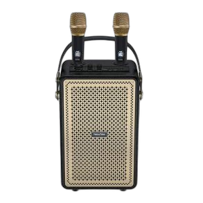 Haino Teko MS-166 Wireless Portable Speaker with Mic