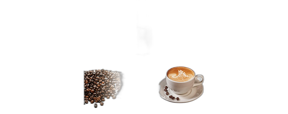 Milk Frother Handheld Frother for Coffee Cappucino