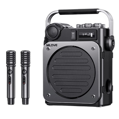 Mlove Karaoke Portable Speaker 100W Bluetooth D6