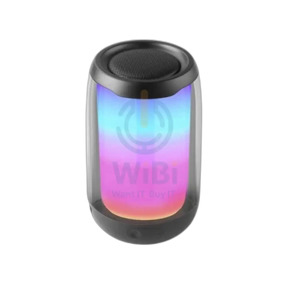 Pluse 4 Portable Wireless Speaker