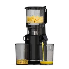 Porodo Lifestyle Cold Press Slow Juicer (PD-LFST058-BK)
