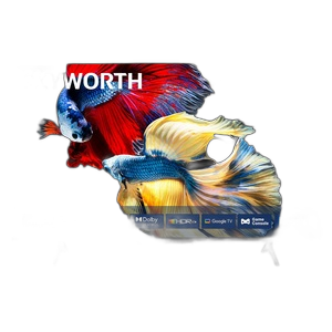 تلفزيون سكاي وورث 65" ​​أندرويد مينيLED