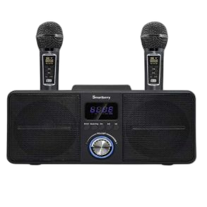 Smartberry S39 Bluetooth Speaker With Dual Microphone