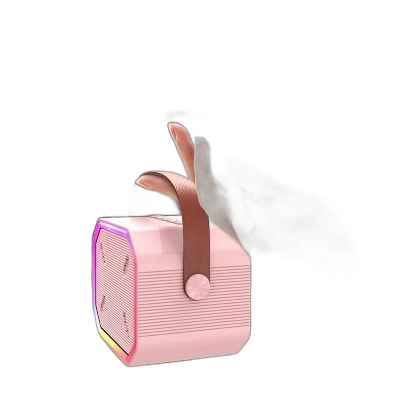 fccds Wireless Smart Speaker for Home KTV and Karaoke
